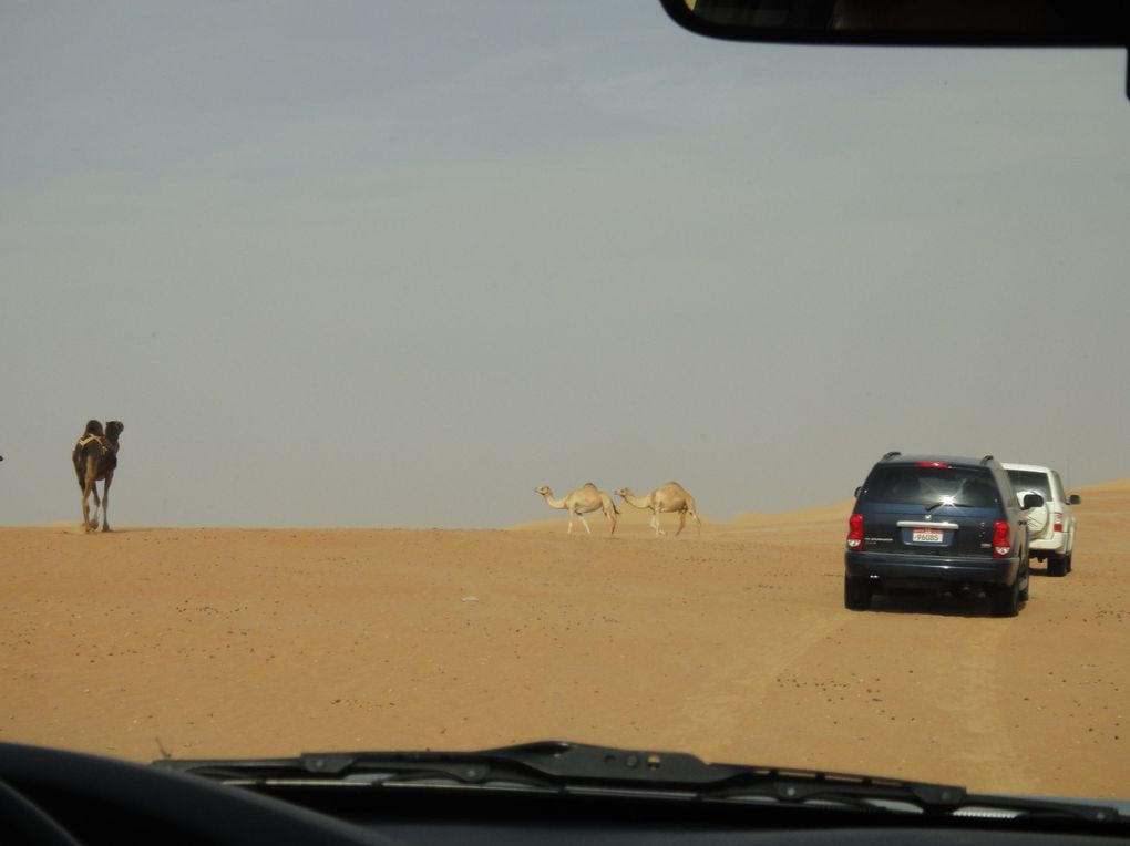 Notre dernier week end dans le desert....