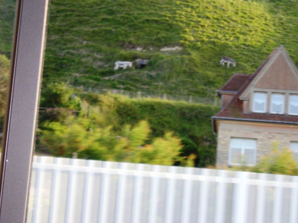 des Pays de Loire au Nord-pas-de-Calais, en passant par la Bretagne, la Normandie et la Picardie 