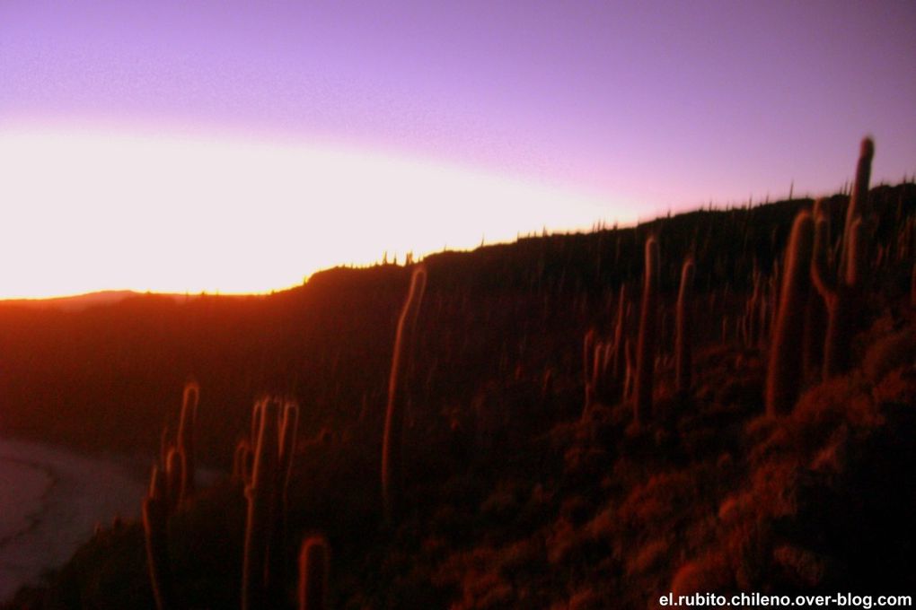 Levé de soleil depuis la Isla de Incahuasi. Traversé d'une des merveilles naturelles du monde. Le plus grand désert de sel du monde. Du blanc à perte de vue et un ciel bleu extraordinaire.