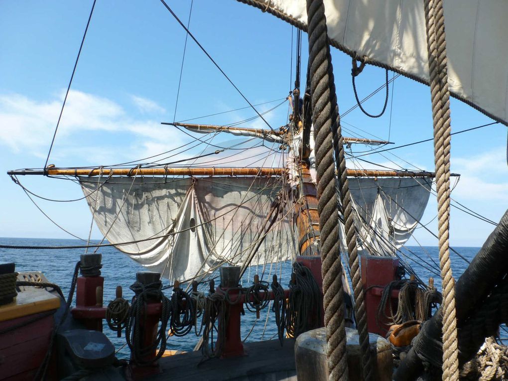 Voici les dix jours durant lesquels nous avons navigué vers Rouen et son Armada. Faisant route plus vite que prévu, nous passerons une demi journée devant l'Ile de Wight et une autre à l'ancre, à l'entrée de la Seine.