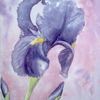 fleurs d'iris aquarelle