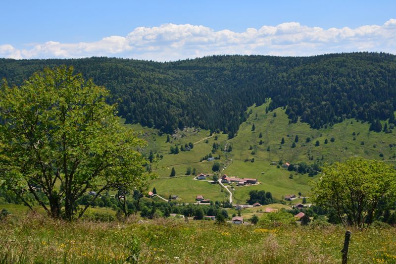 Marche de printemps à Gérardmer - le 19 juin 2022