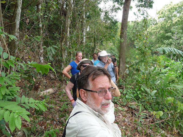 Album - Panama-dans-la-jungle-du-Darien