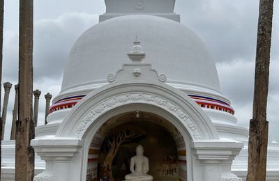 TukTuk Rallye à Anuradhapura 