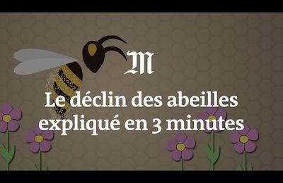 Le déclin des abeilles expliqué en 3 minutes