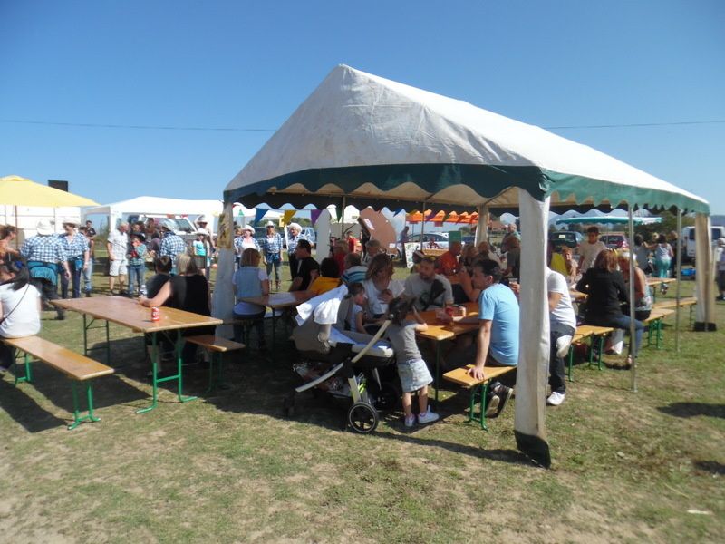 Album fête de l'âne 2016