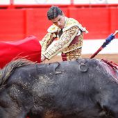 Los toros interesan a 11 millones de españoles, según un estudio del Ministerio de Cultura