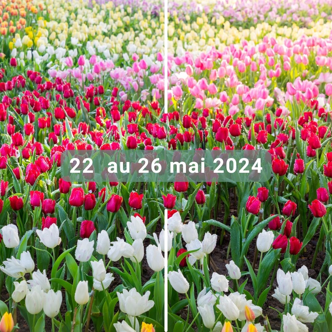 La Fête de la Nature, célébrée chaque année en France, est un événement consacré à la célébration et à la préservation de nos écosystèmes naturels. 