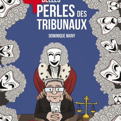 Les perles des tribunaux : Critique.