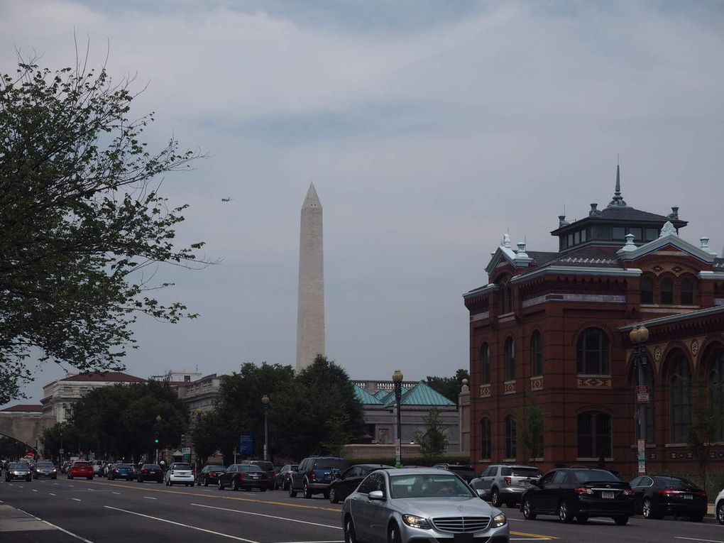 Washington, los museos