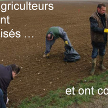 « Accusé agriculteur, présentez-vous à la barre! » dans le Figaro