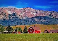 #Cabernet Franc Producers Oregon Vineyards