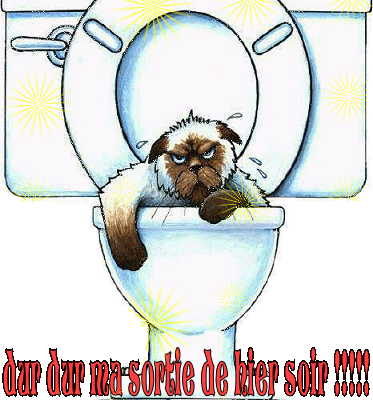 Dur dur ma sortie d'hier soir - Chat - Wc - Gif animé - Gratuit