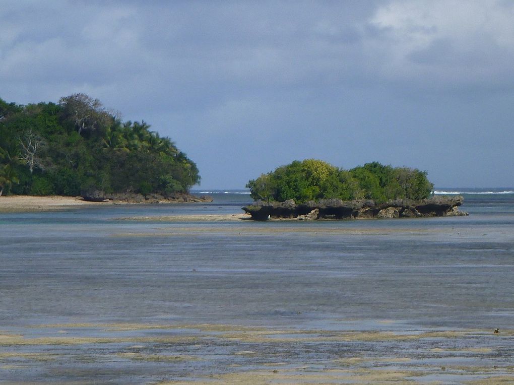 Le train sucrier de la côte de corail