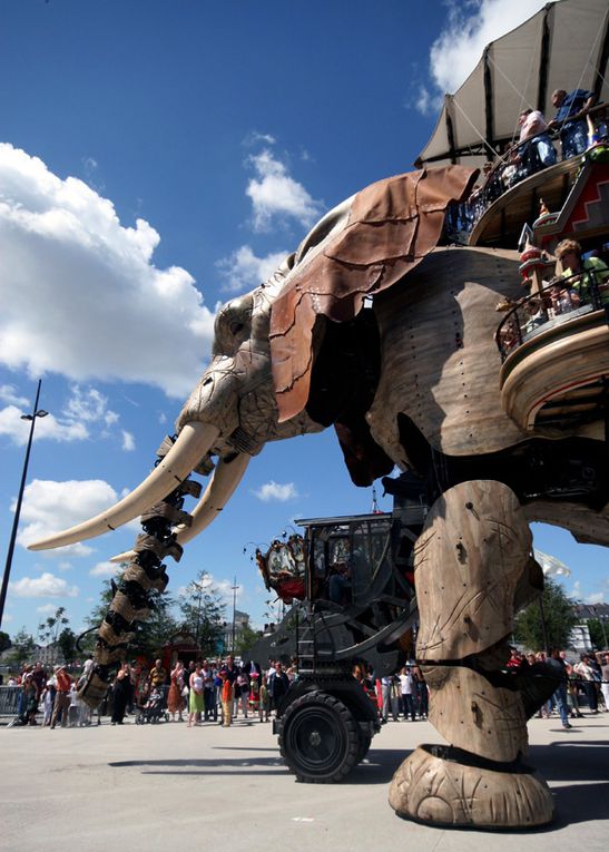 Eléphant de l'Ile de Nantes Royal de Luxe - Photos Thierry Weber Photographe La Baule Guérande