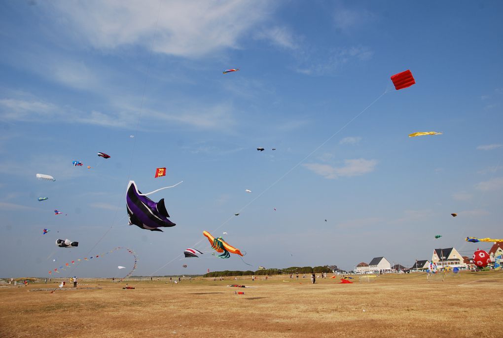 Album - baie-de-somme--juin-2011