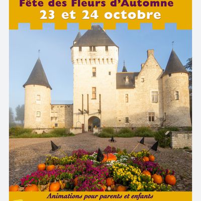 Au Château du Rivau, les 23 et 24 octobre 2021 pour la Fête des fleurs d'automne: prochaine exposition des BO nichoirs 🙂🐦🏵️🍃🌼🍂🌻