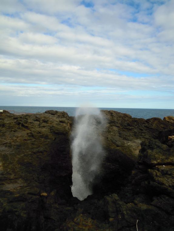 Album - VC. AUSTRALIE - Wattamola et Kiama