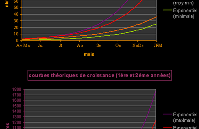 Croissance de la colonie