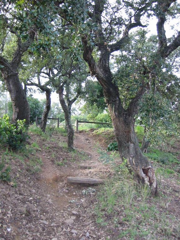 Quelques vues du tracé empruntant les pistes et chemein situés sur le domaine du conservatoire du littoral.