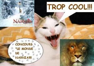 Concours le monde de Narnia