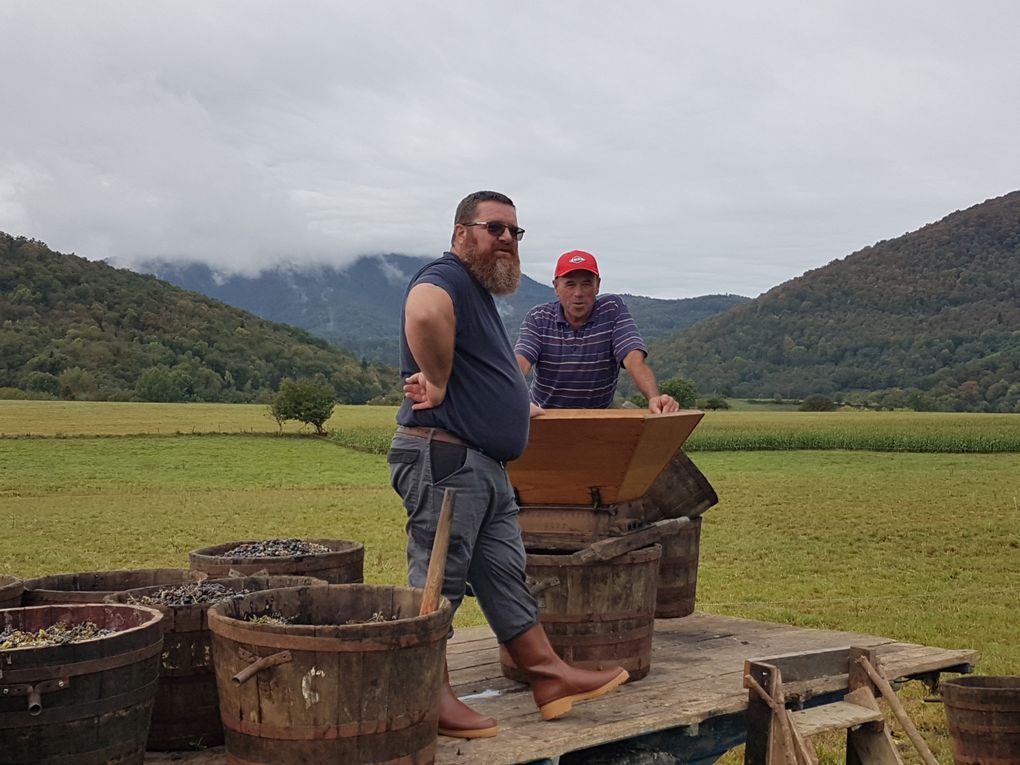 Montastruc de Salies - Des vendanges entre famille et amis