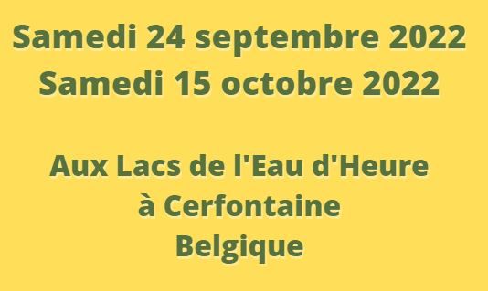 dates formations énergétiques