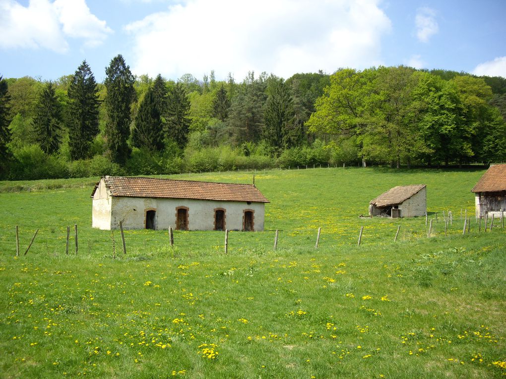 Album - fontenelay-avant travaux