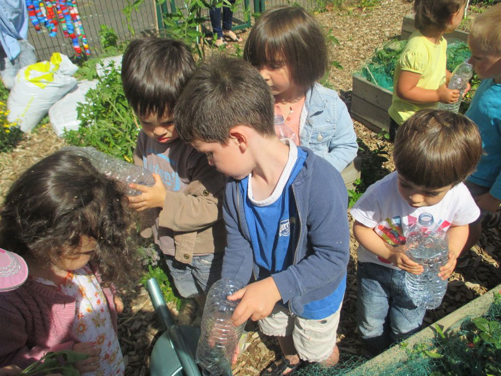 Le jardin de la classe des petits