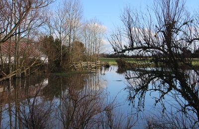 Vue déformée
