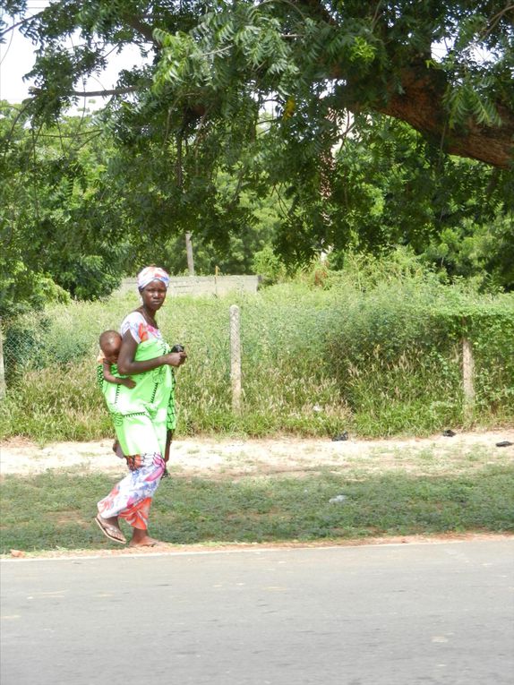 Album - Sud est du senegal