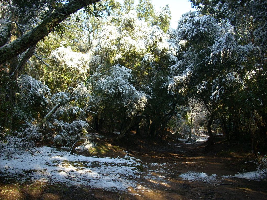 Quelques vues inhabituelles : la Vallée de La Mole sous la neige