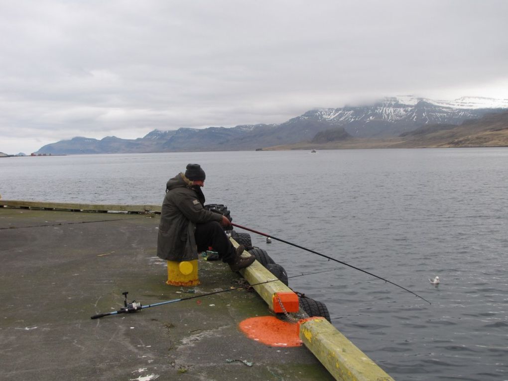 Album - 13----ISLANDE---la-peche-dans-les-fjords-d-l-est