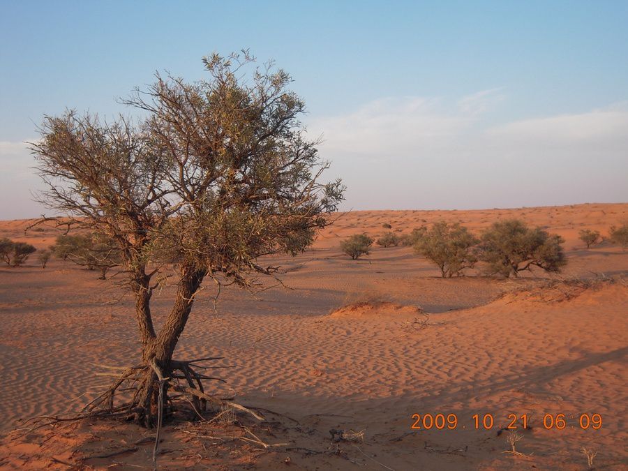 Simpson-Desert