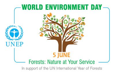 World Environment Day - Forests: nature at your service