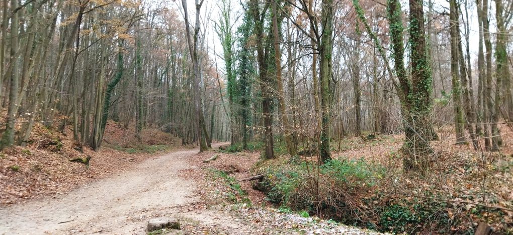 Rando entre Gif sur Yvette et Saint Rémy les Chevreuse 