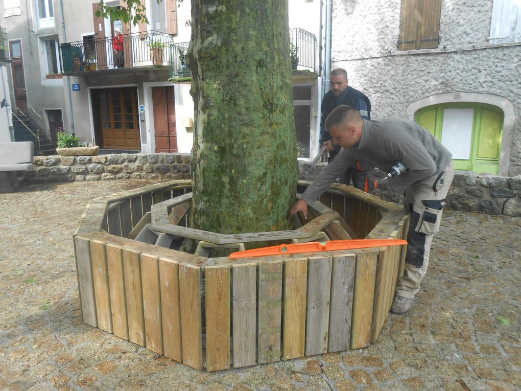 Première étape: la stucture en deux éléments, fabriquée en atelier est fixée autour de l'arbre par Guillaume et Justin