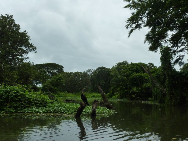 Album - NICARAGUA