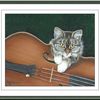 Lois Andersen - Cat in Fiddle - 2005
