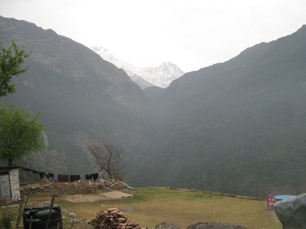 Album - 20-treck-Himalaya