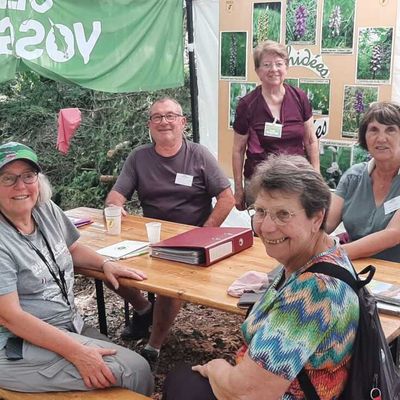 Nuits des Forêts 2025