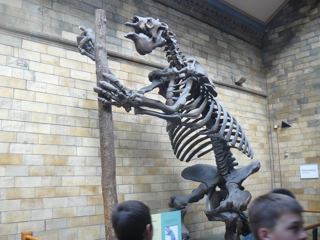 Album - Natural History Museum 2012