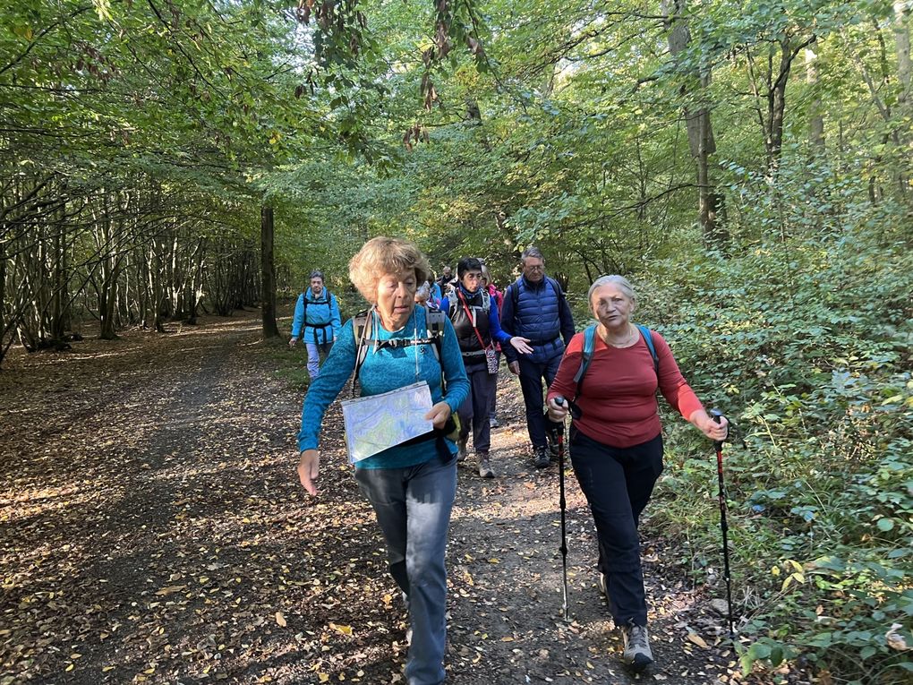 Randonnée de Trilport à  Îsles-les-Meldeuses - 19 km.