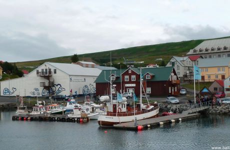 Islande : Husavik et son musée du phallus