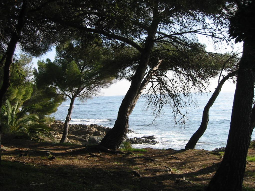 Quelques vues du tracé empruntant les pistes et chemein situés sur le domaine du conservatoire du littoral.