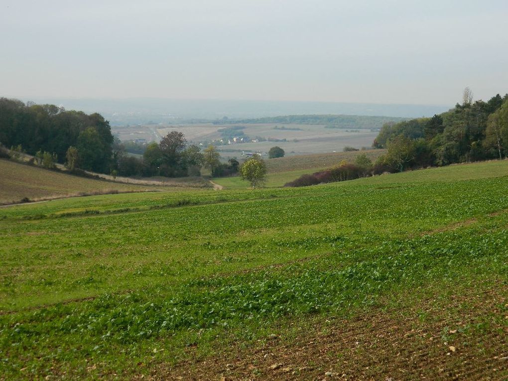 Follainville dans le fond  - l'Eglise de Follainville