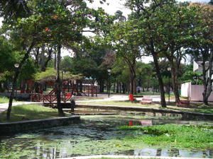 Album - olinda et recife