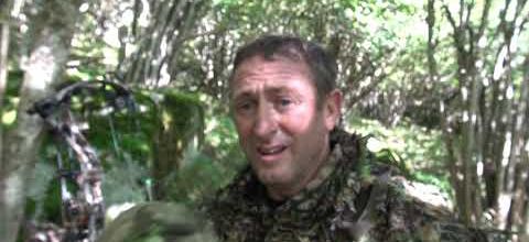 chasse au cerf