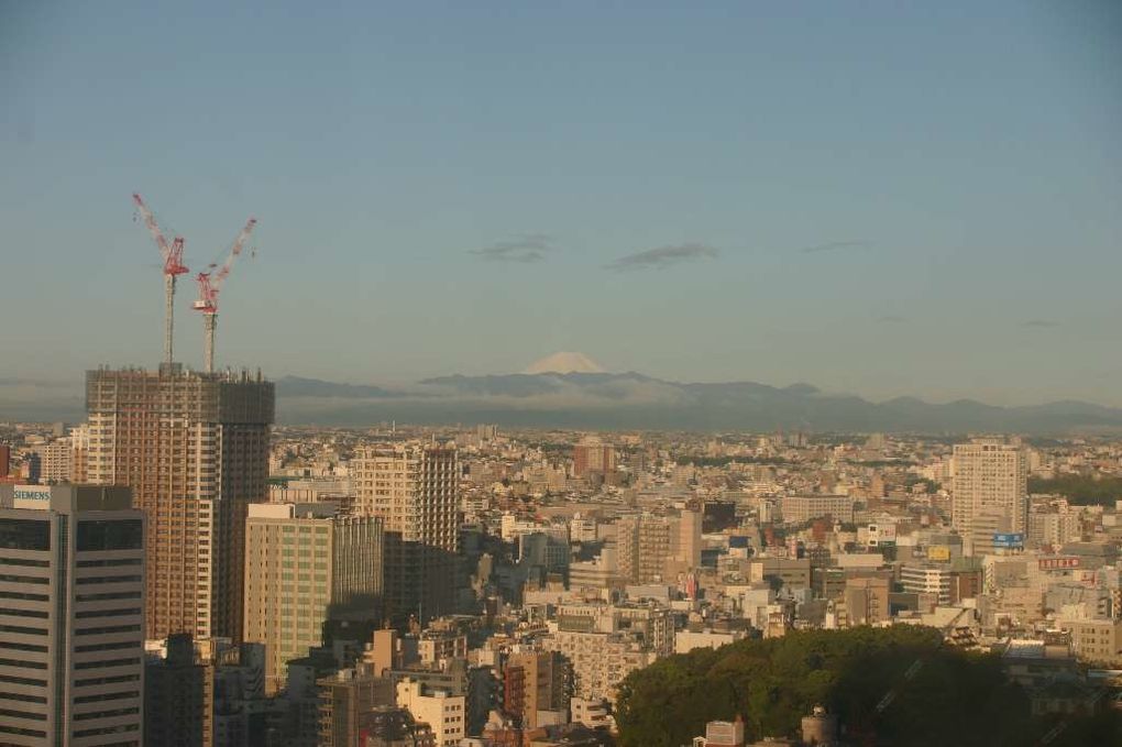 Fin du voyage, Tokyo, Mikimoto