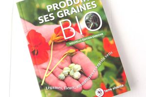 Produire ses Graines Bio, éditions Terre Vivante